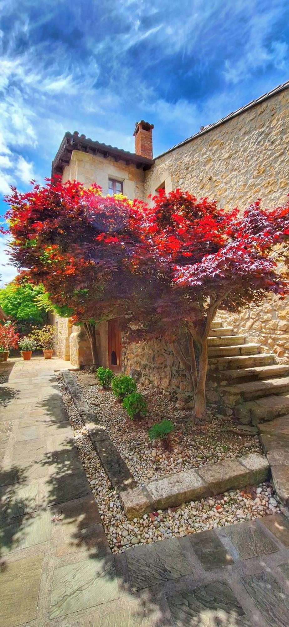 Apartamentos Palacion De Santillana Santillana del Mar Exterior photo